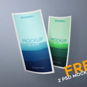 Curved DL Flyer Mockup