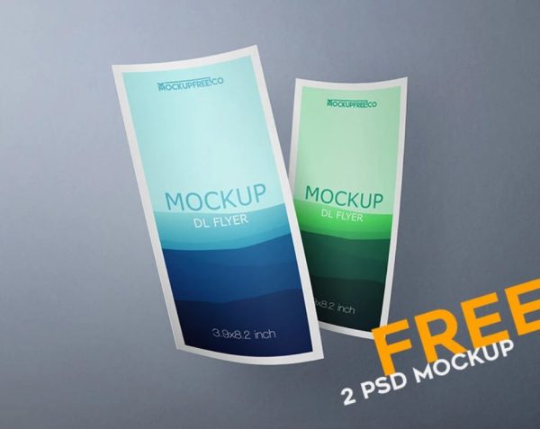 Curved DL Flyer Mockup