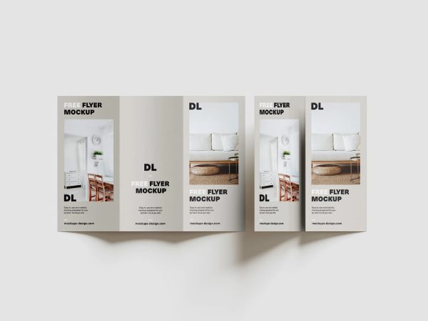 Editable DL Flyer Mockup