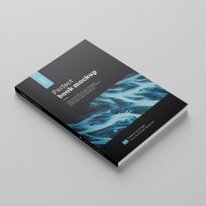 Free Book Mockup PSD