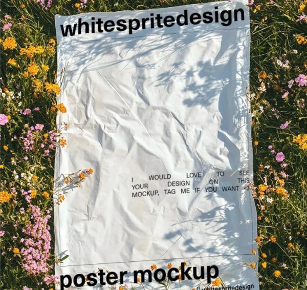 Free Flat Lay Poster Mockup