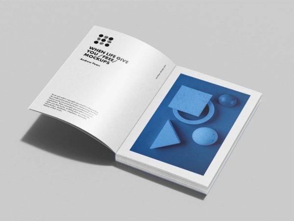 Simple Open Book Mockup