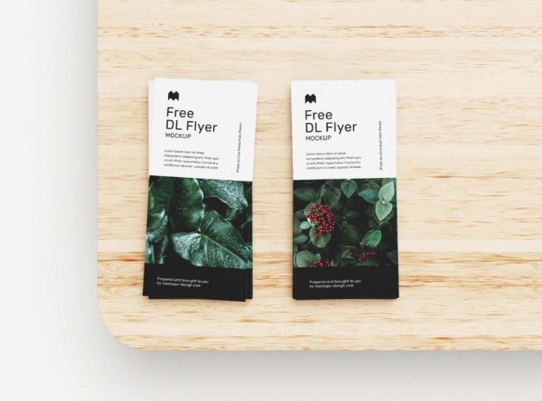 Top View DL Flyer Mockups