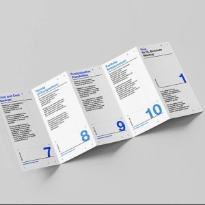 5 Page DL Flyer Mockup