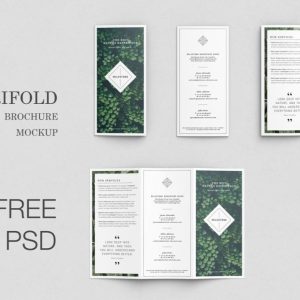 Free Tri Fold Brochure Mockup