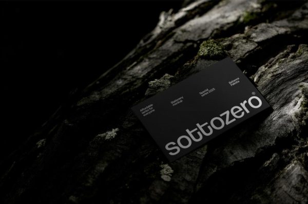 Luxury Style Business Card Mockup