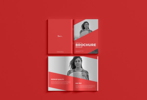 Simple Company Brochure Mockups
