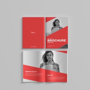 Thin Company Brochure Mockup PSD