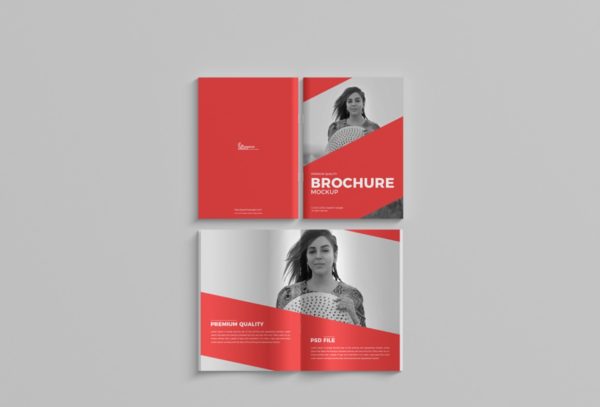 Thin Company Brochure Mockup PSD