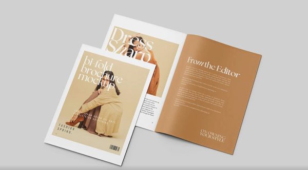 Two Sides of Brochure Mockup